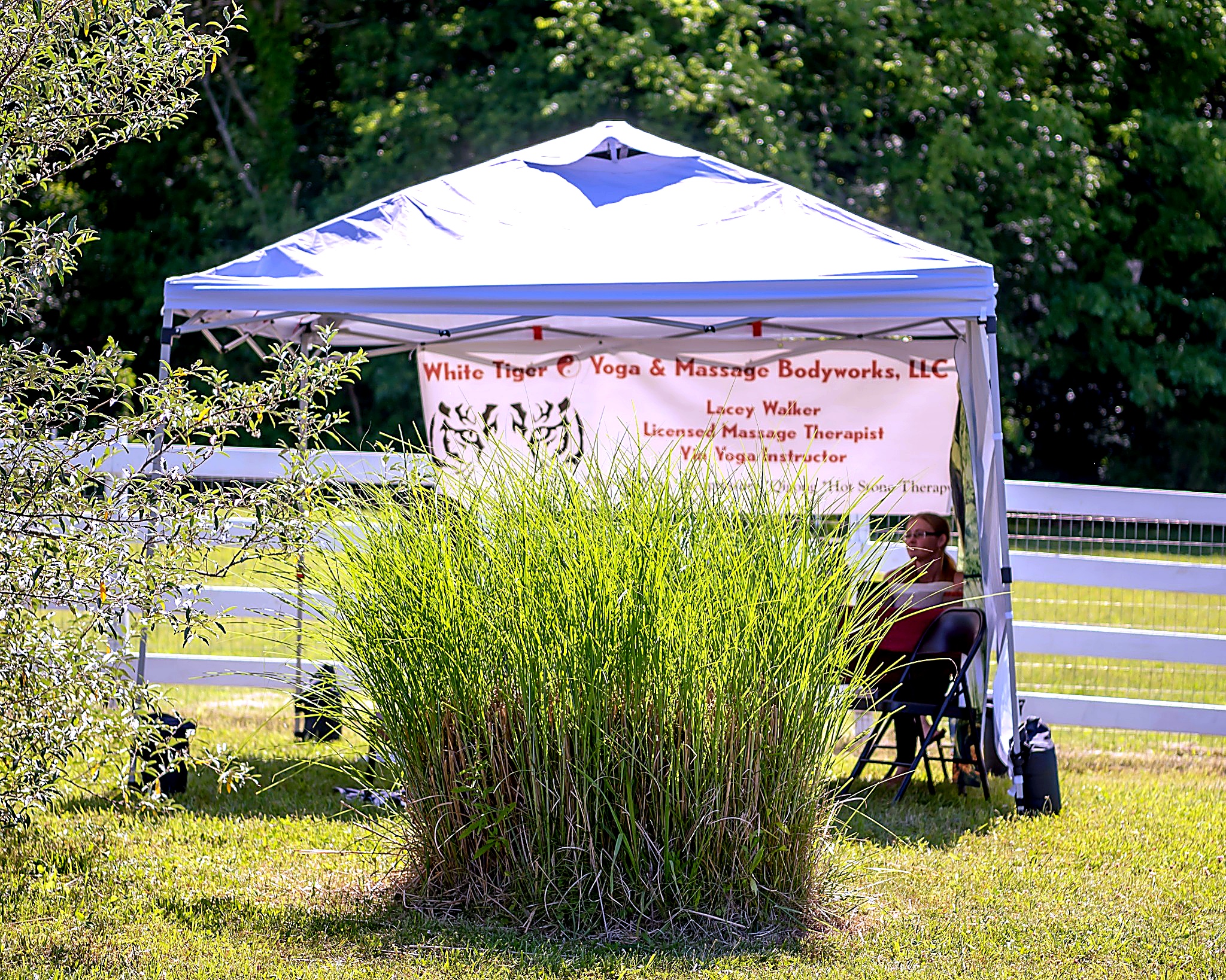 Massage and wellness vendor tent at the festival