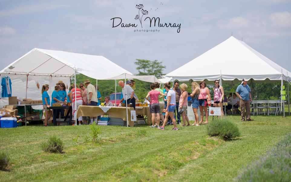 Festival visitors at vendor tents