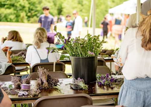 Group lavender wreath making workshop under a farm tent